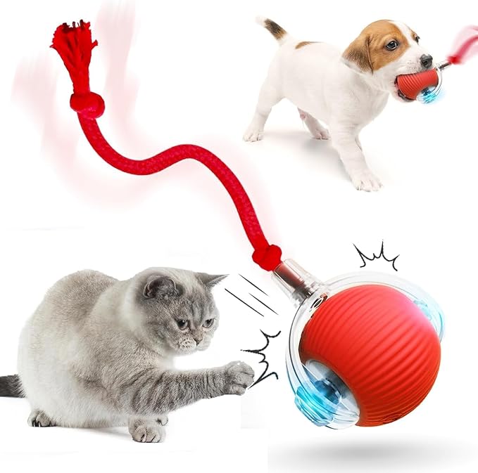 Balle interactive en mouvement pour chat, résistante et durable