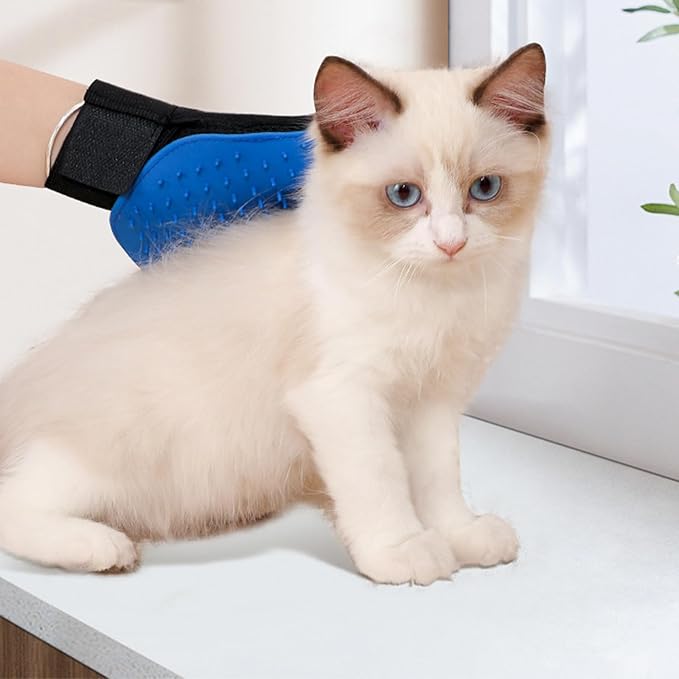 Gant de toilettage pour animaux - massage et démêlage