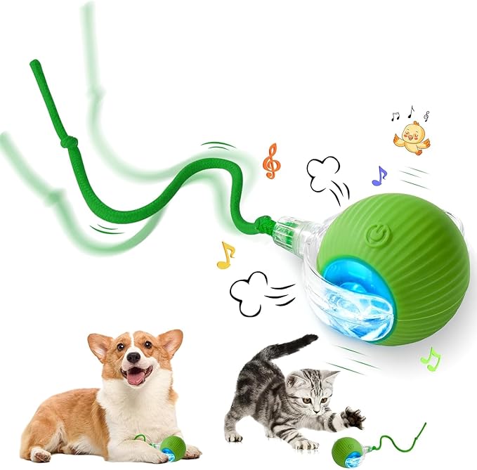 Balle interactive en mouvement pour chat, résistante et durable