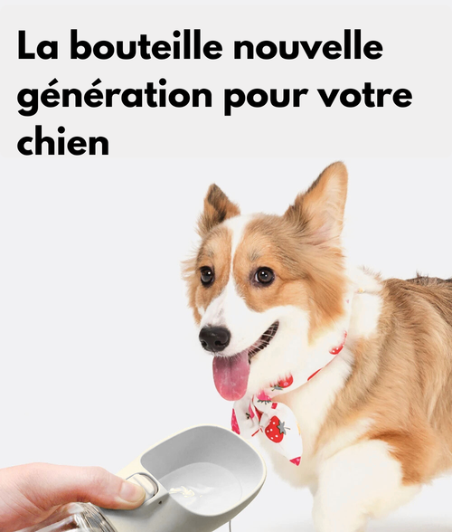 Bouteille d'eau Portable avec support pour Chien et Chat 350/550ml