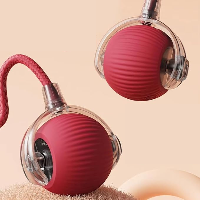 Balle interactive en mouvement pour chat, résistante et durable