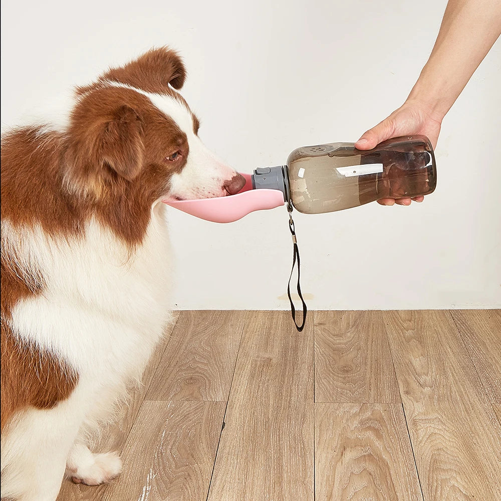 Gourde portable de 800 ml avec support pour chiens de petite et grande taille